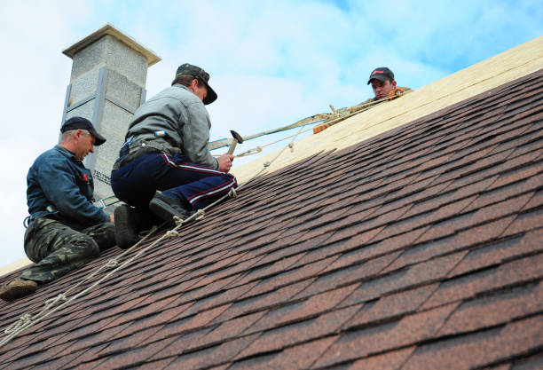 Best Storm Damage Roof Repair  in Aliquip, PA